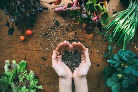 Growing food for the indigenous community in Santa Fe, New Mexico